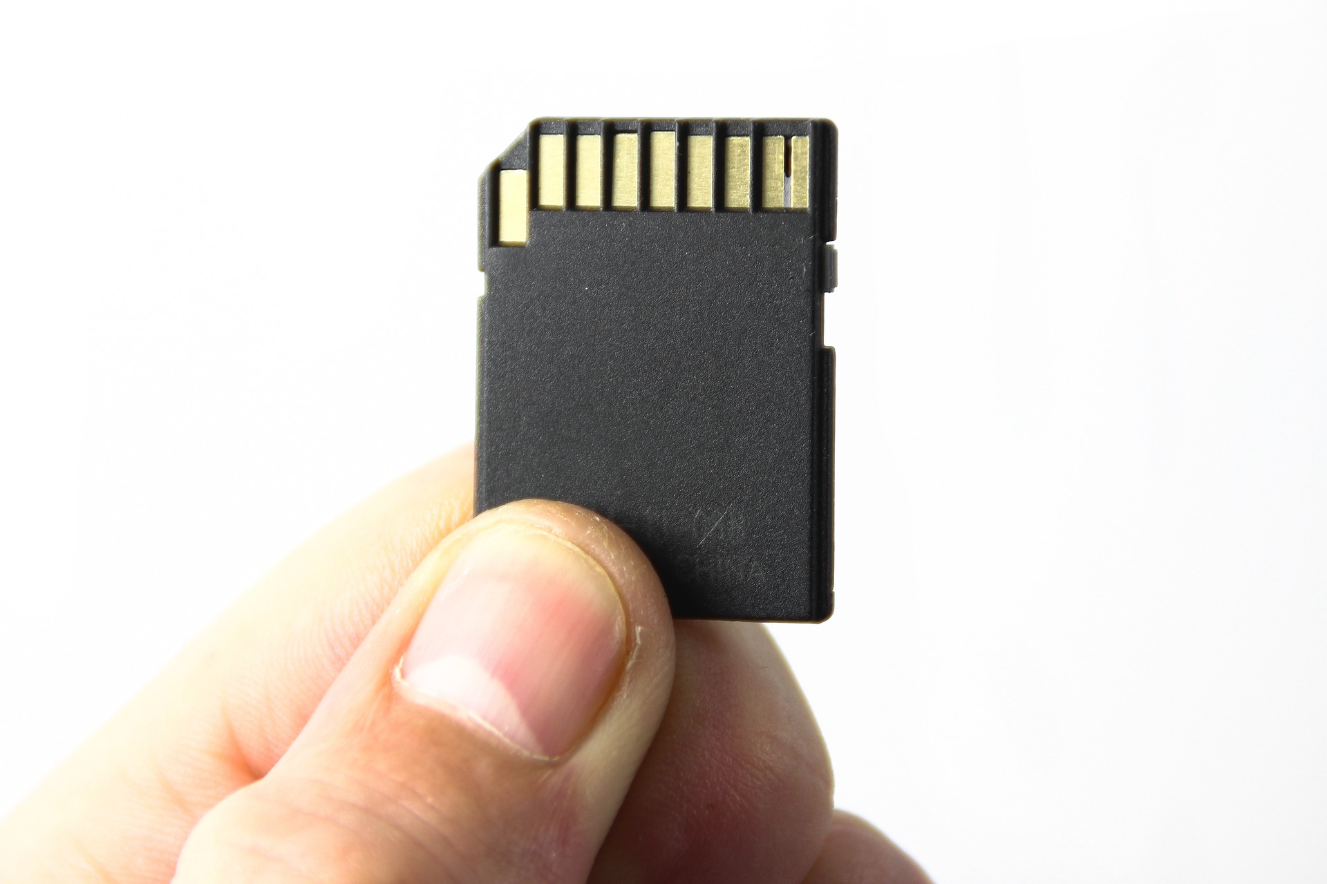 holding a memory card